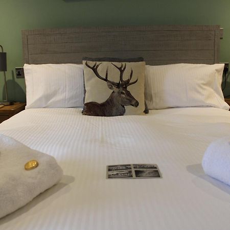 Bed and Breakfast The White Lion Вентнор Экстерьер фото
